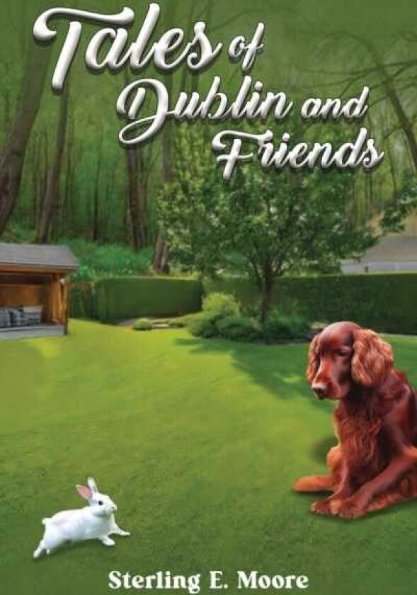 Tales of Dublin and Friends
