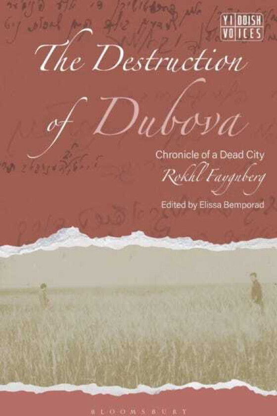 The Destruction of Dubova Chronicle of a Dead City