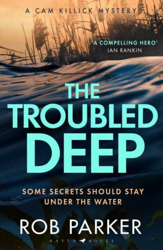 The Troubled Deep 'The most brilliant Norfolkset thriller since Elly Griffiths' Ruth Galloway books' Daily Mirror