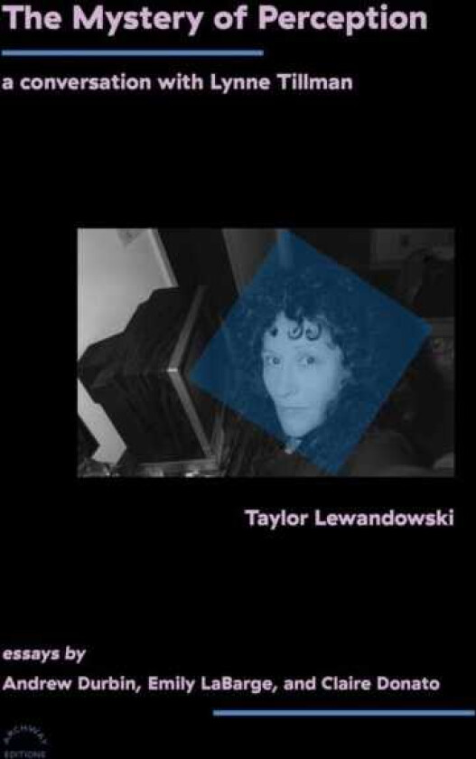 The Mystery of Perception A Conversation with Lynne Tillman