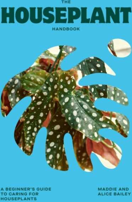 The Houseplant Handbook A Beginner’s Guide to Caring for Houseplants