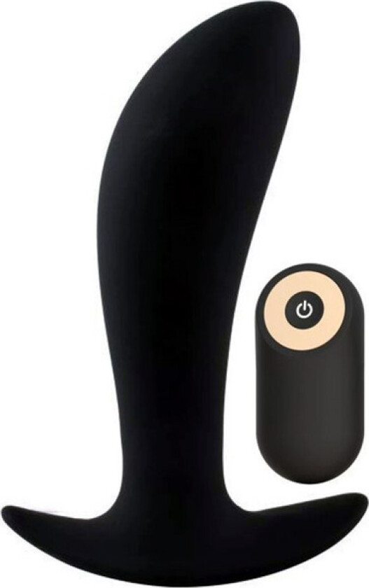 Secret Lover Anal Vibrator