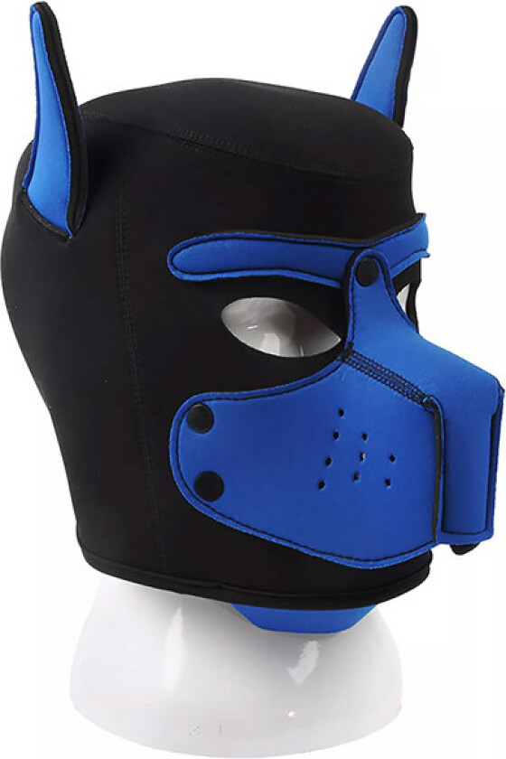 Neoprene Dog On Mask Black-Blue