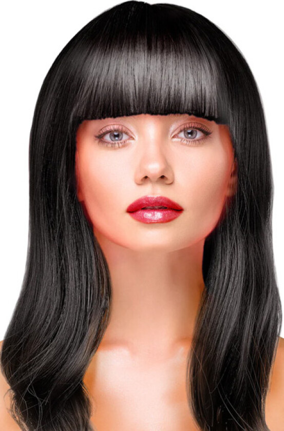 Party Wig Long Straight Black Hair