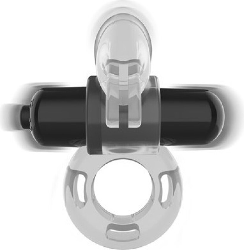 Fry Transparent Vibrating Ring