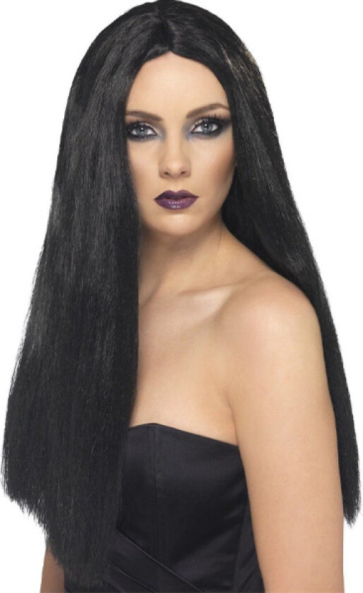 Long Straight Wig Black
