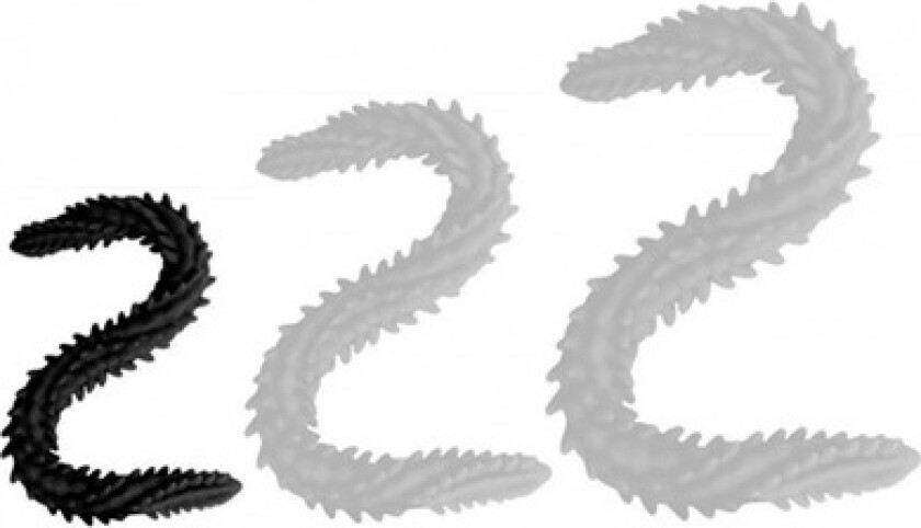 Double Dildo Scolop Black 40 cm