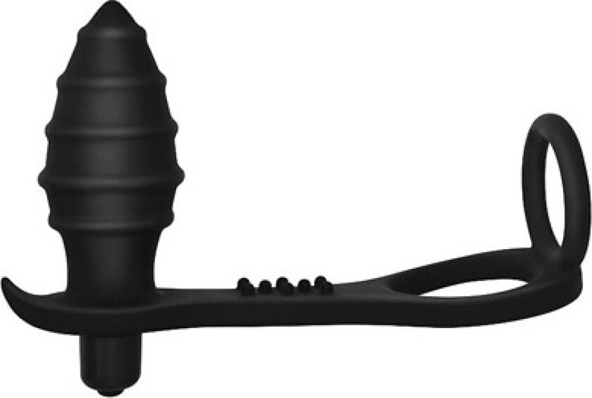 Ass-Rasca Vibrating Plug Combo