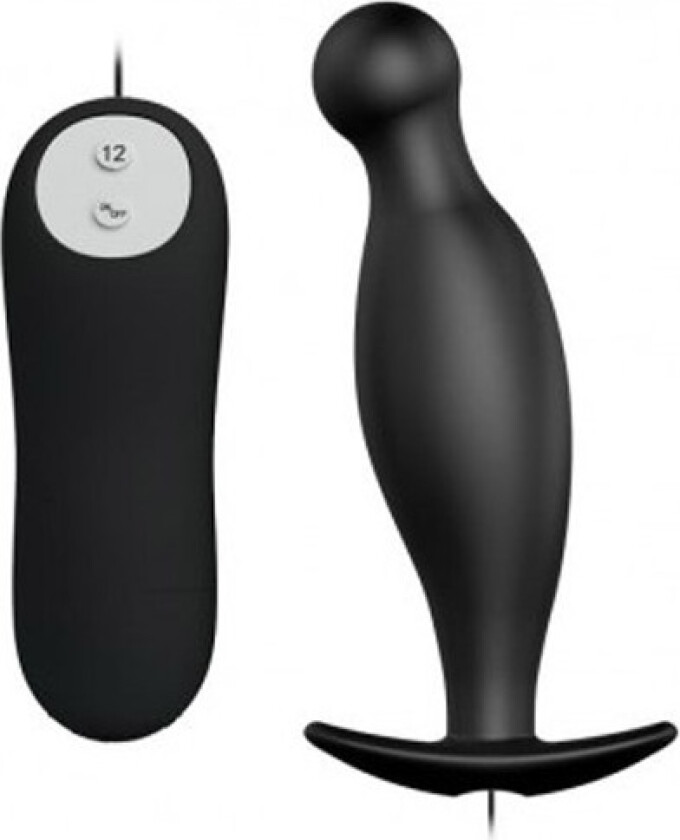 Special Vibrating Anal Stimulation 1