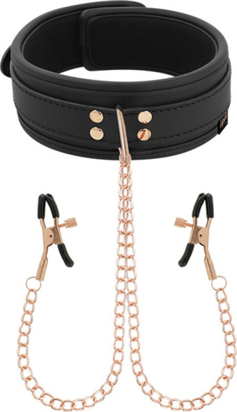 Fantasy Collar With Nipples Clamps