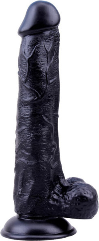 Black Veined Dong 25 cm