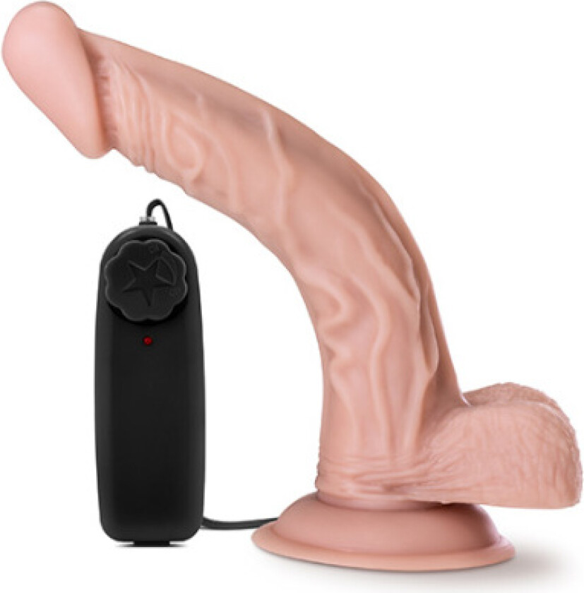 Dr. Skin Dr. Sean Vibrating Cock with Suction Cup 20cm