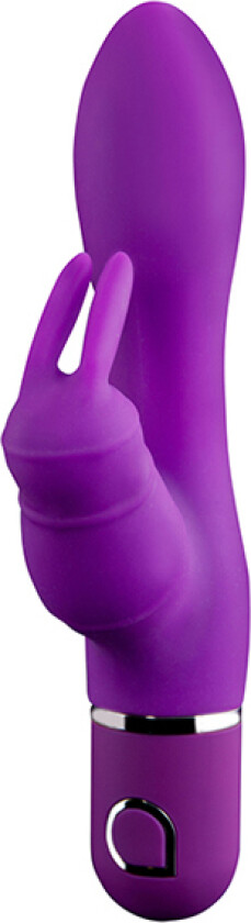 Delphyne Purple