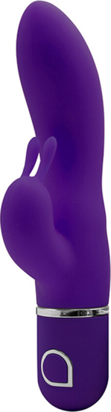 Clonia Purple