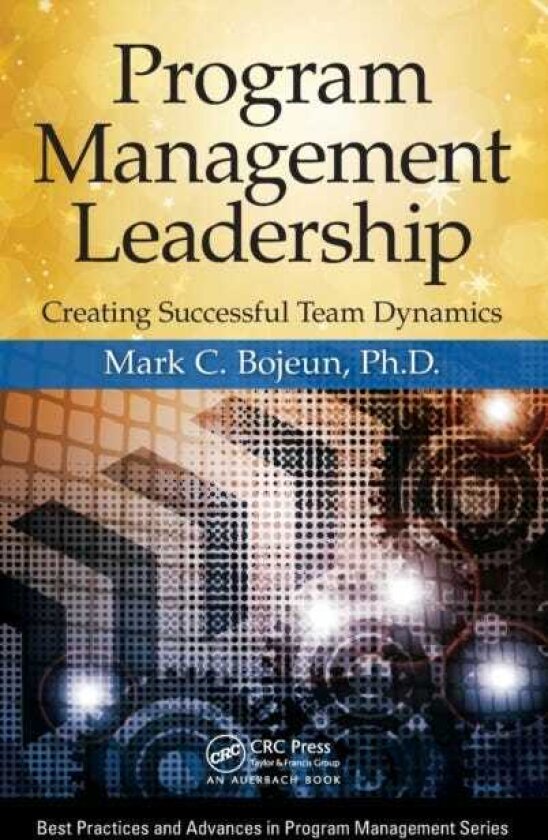 Program Management Leadership Creating Successful Team Dynamics