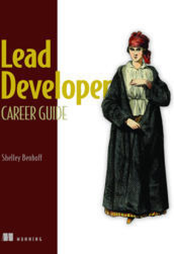 Lead Developer Career Guide