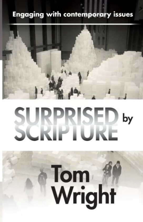 Surprised by Scripture av Tom Wright
