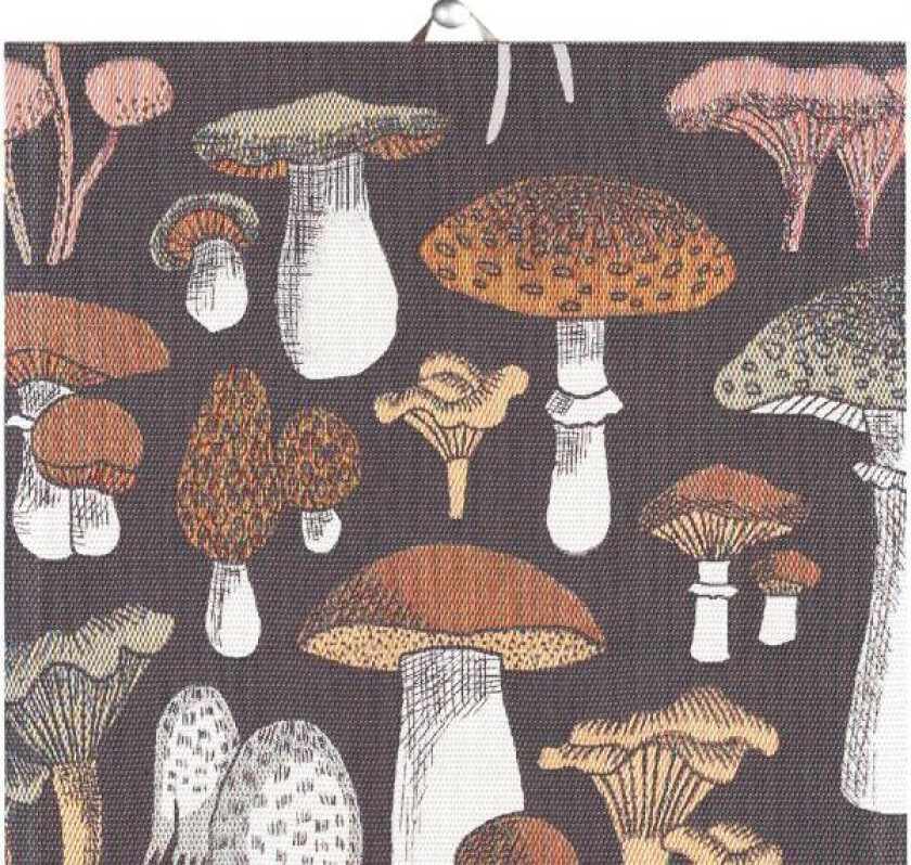 Svamprik kjøkkenhåndkle 40x60 cm brun