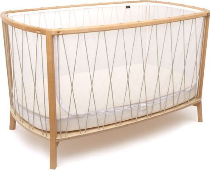 Kimi Sprinkelseng Lichen