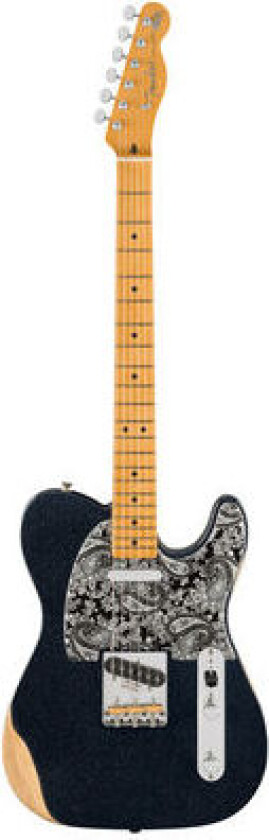 Brad Paisley Road Worn Tele BK