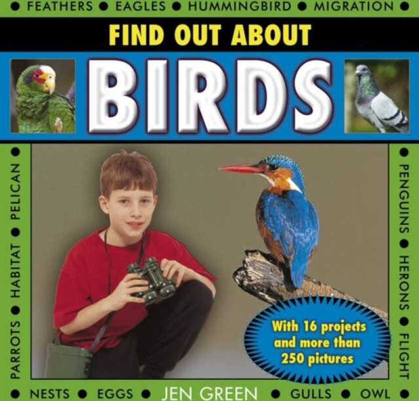 Find Out About Birds with 16 Projects and More Than 250 Pictures