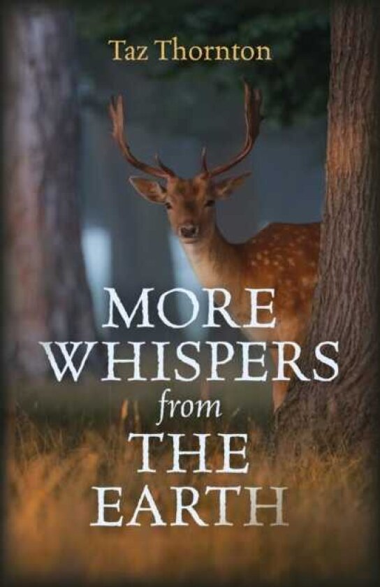 More Whispers from the Earth