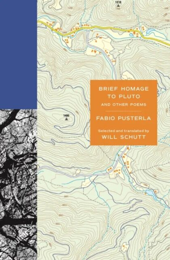 Brief Homage to Pluto and Other Poems av Fabio Pusterla