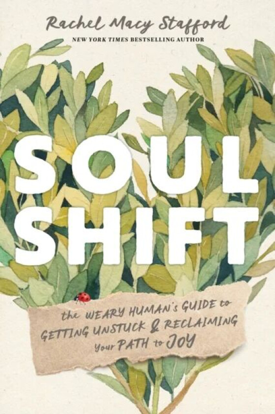 Soul Shift av Rachel Macy Stafford