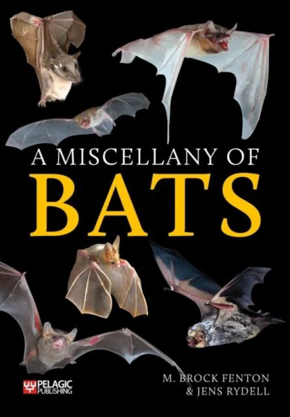 A Miscellany of Bats av M. Brock Fenton, Jens Rydell