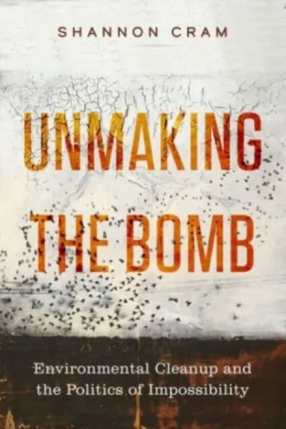 Unmaking the Bomb av Shannon Cram