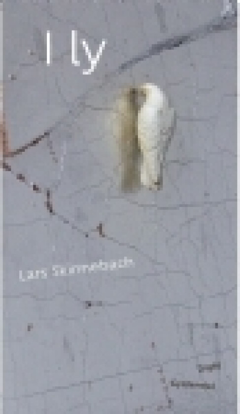 I ly | Lars Skinnebach | Språk: Dansk