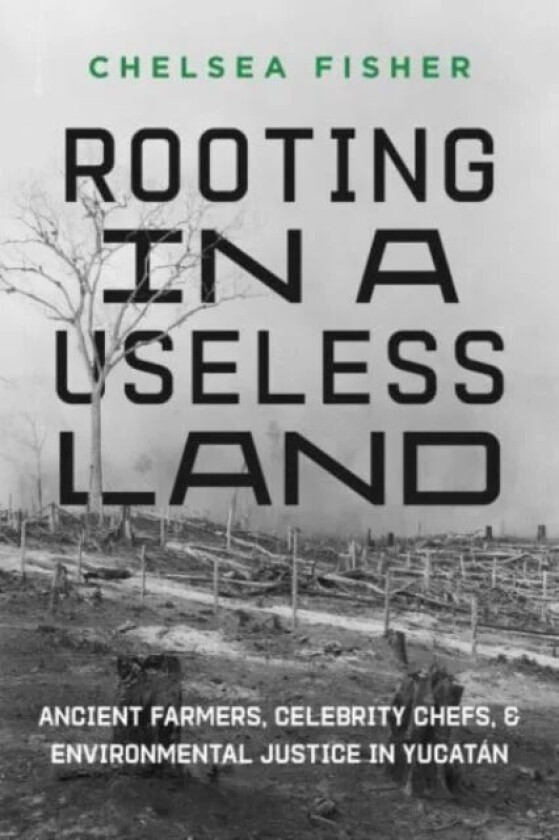 Rooting in a Useless Land av Chelsea Fisher