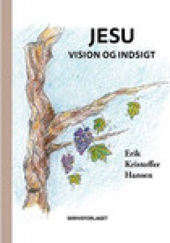 Jesu vision og indsigt | Erik Kristoffer Hansen | Språk: Dansk