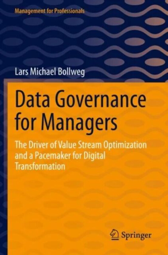 Data Governance for Managers av Lars Michael Bollweg