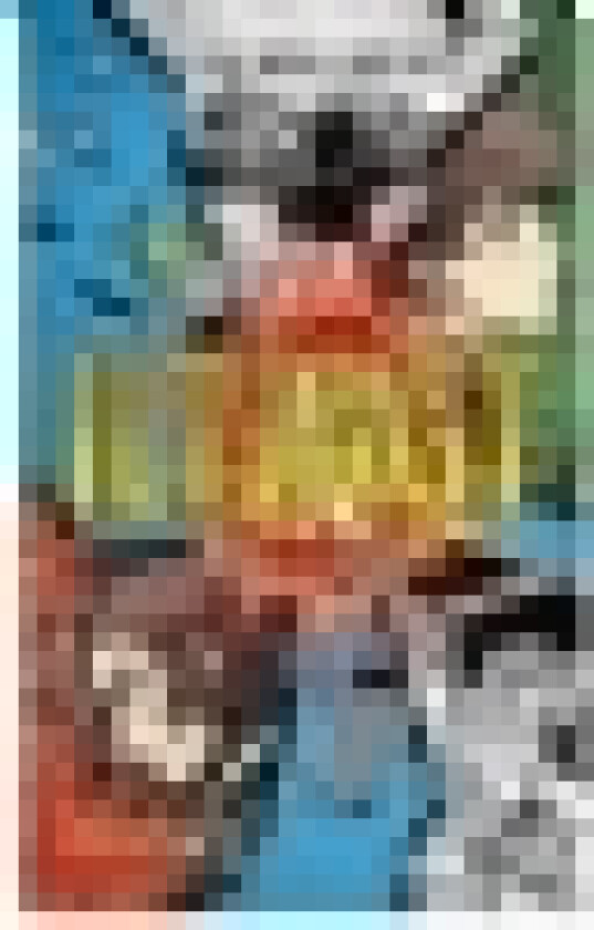 Iltjagt 6: Frihed | Nicole Boyle Rødtnes | Språk: Dansk