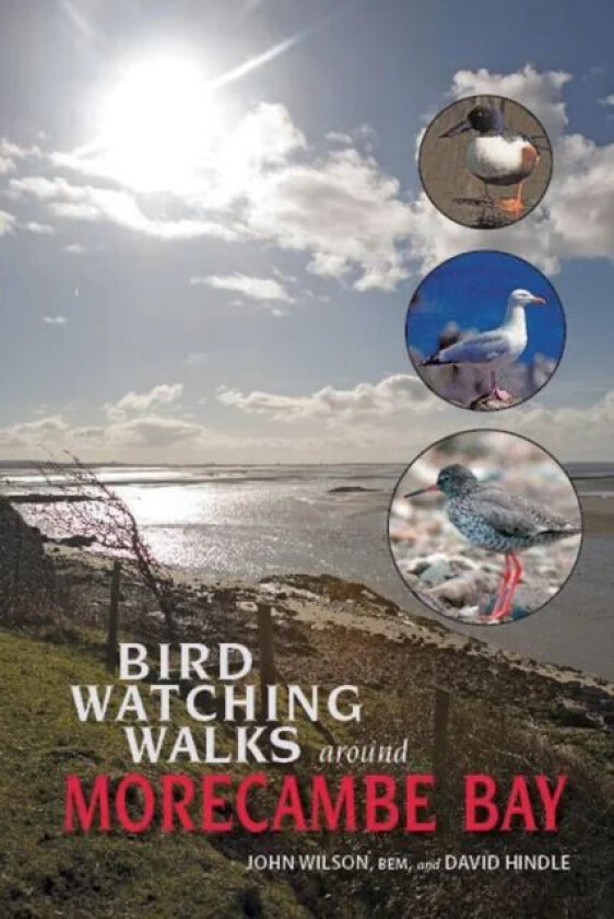 Birdwatching Walks Around Morecambe Bay av Reverend Dr John Wilson