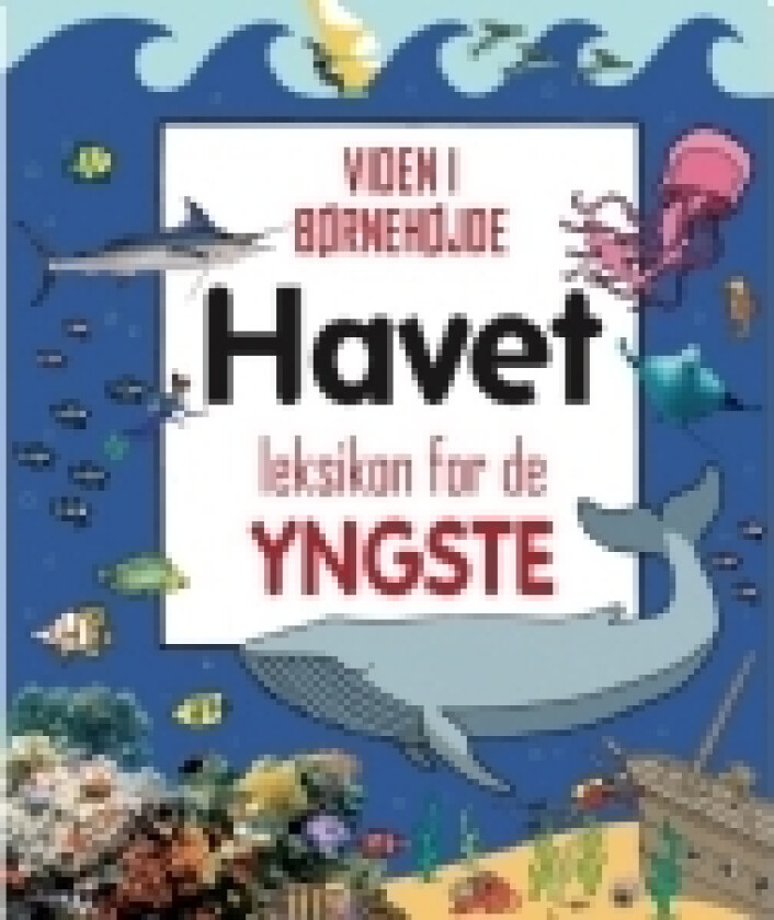 Havet - Leksikon for de yngste | Språk: Dansk