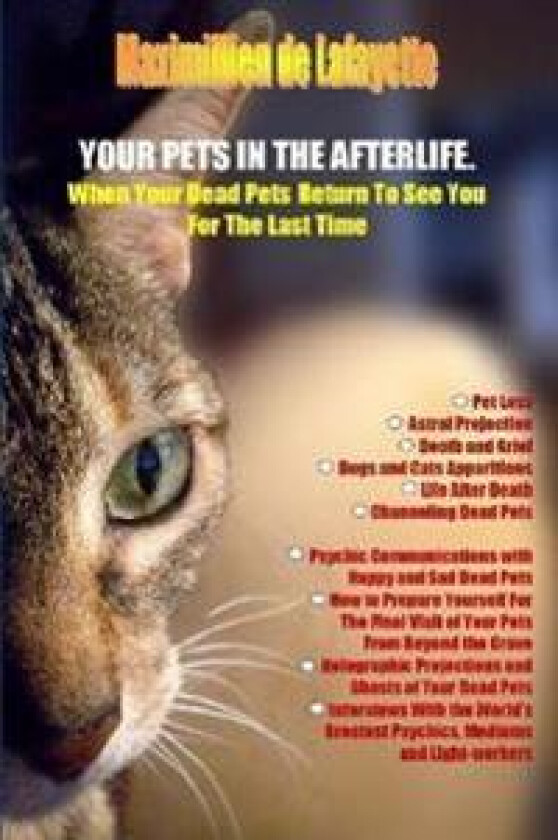 Your Pets in the Afterlife: When Your Dead Pets Return to See You for the Last Time