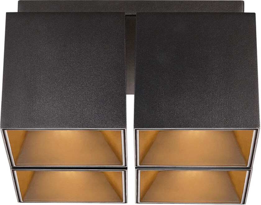 Ethan 4-Spot - Matt Svart