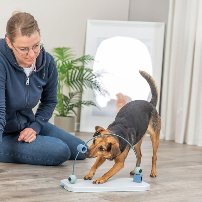 Dog Activity Skills Loop Aktiveringsleke for Hunder