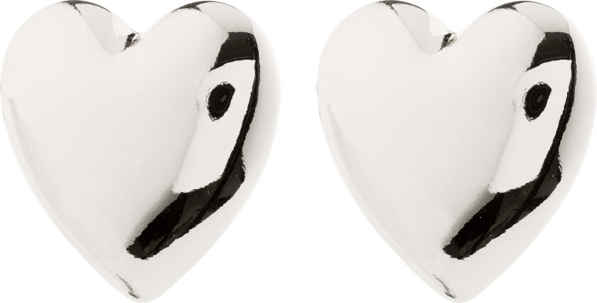 ANNEMETTE øredobber sølvbelagt