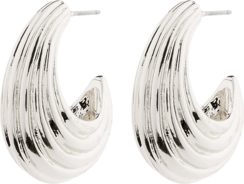 ASLE øredobber sølvbelagt