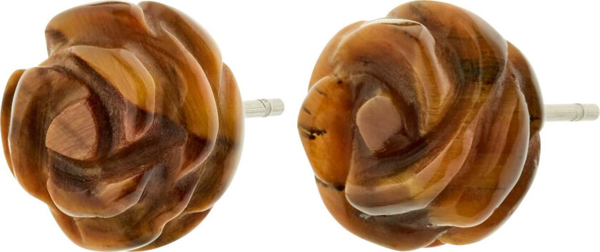 ADEM Tiger Eye-øredobber