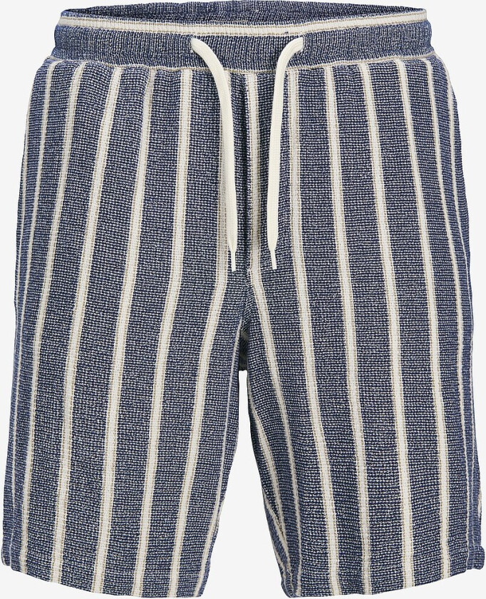 Shorts jpstJaiden Coba Stripe Jog Short SN - Blå