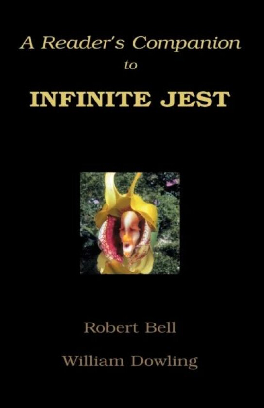 A Reader's Companion to Infinite Jest av William Dowling, Partner Robert MD (Nabarro Nathanson London) Bell