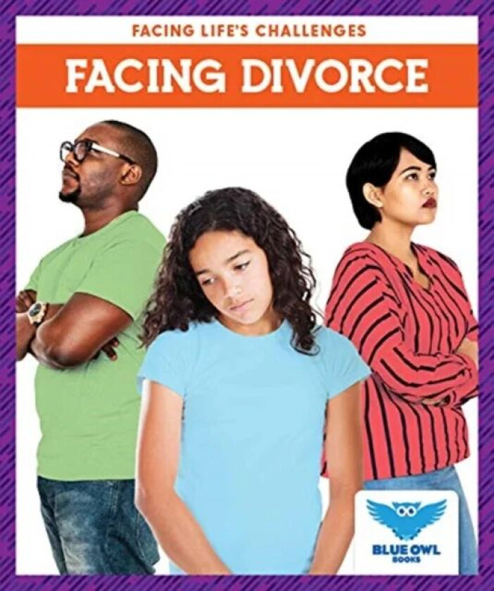 Facing Divorce av Stephanie Finne