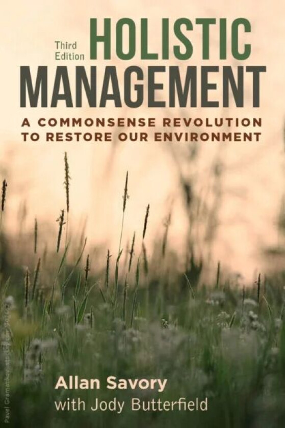 Holistic Management av Allan Savory, Jody Butterfield