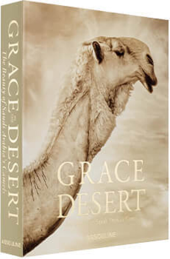 Grace in The Desert: The Beauty of Saudi Arabia's Camels