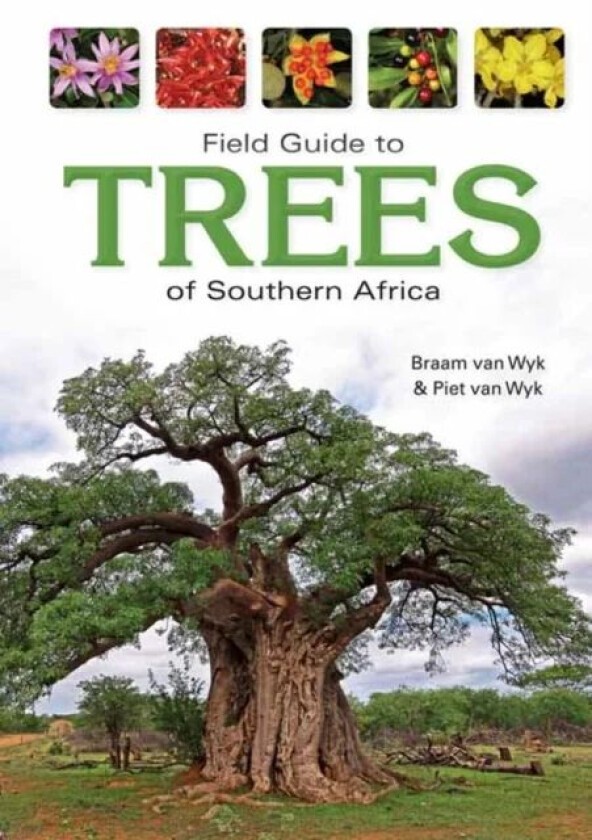 Field Guide to Trees of Southern Africa av Braam van Wyk