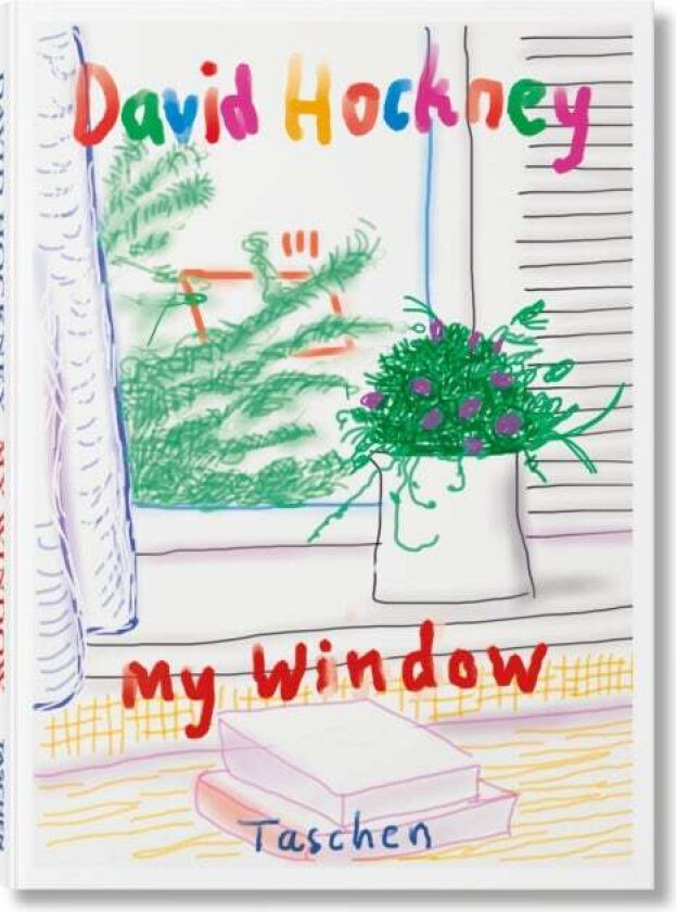 David Hockney. My Window